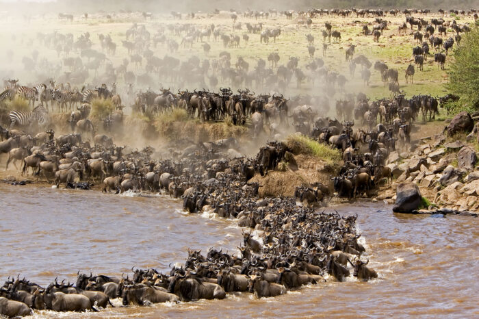 Masai Mara