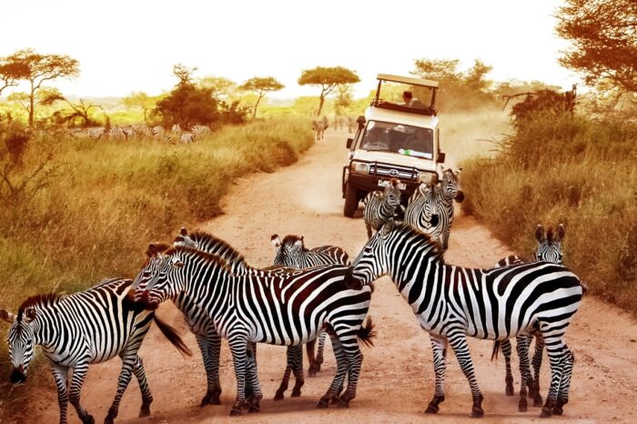 Lake Manyara/Ngorongoro Crater Safari